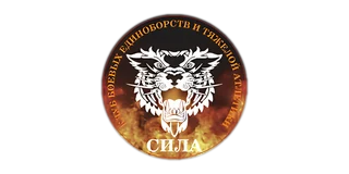 Логотип Сила